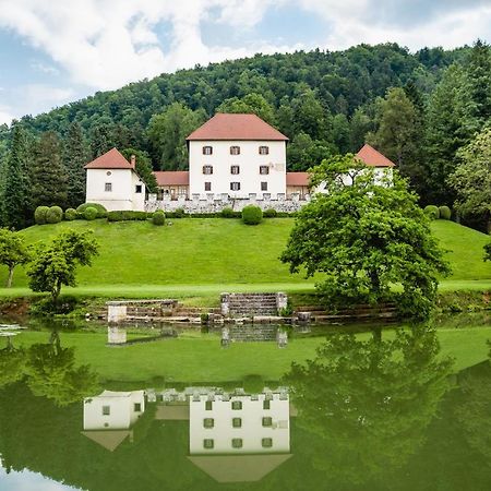 Grad Strmol Villa Cerklje na Gorenjskem Bagian luar foto