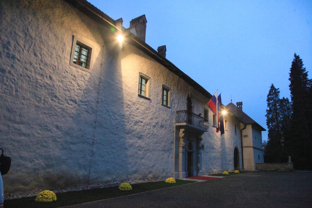 Grad Strmol Villa Cerklje na Gorenjskem Bagian luar foto