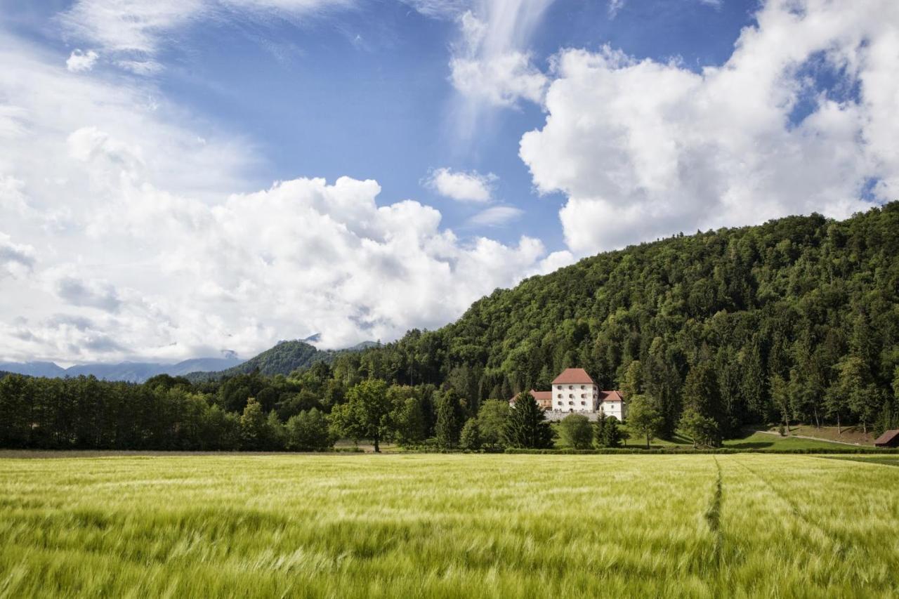 Grad Strmol Villa Cerklje na Gorenjskem Bagian luar foto