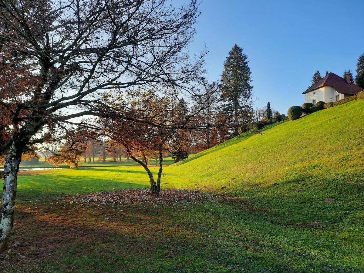 Grad Strmol Villa Cerklje na Gorenjskem Bagian luar foto