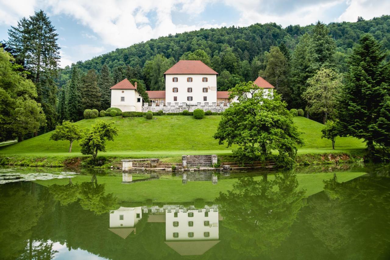 Grad Strmol Villa Cerklje na Gorenjskem Bagian luar foto