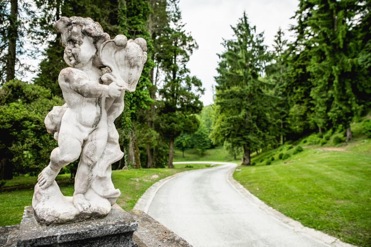 Grad Strmol Villa Cerklje na Gorenjskem Bagian luar foto