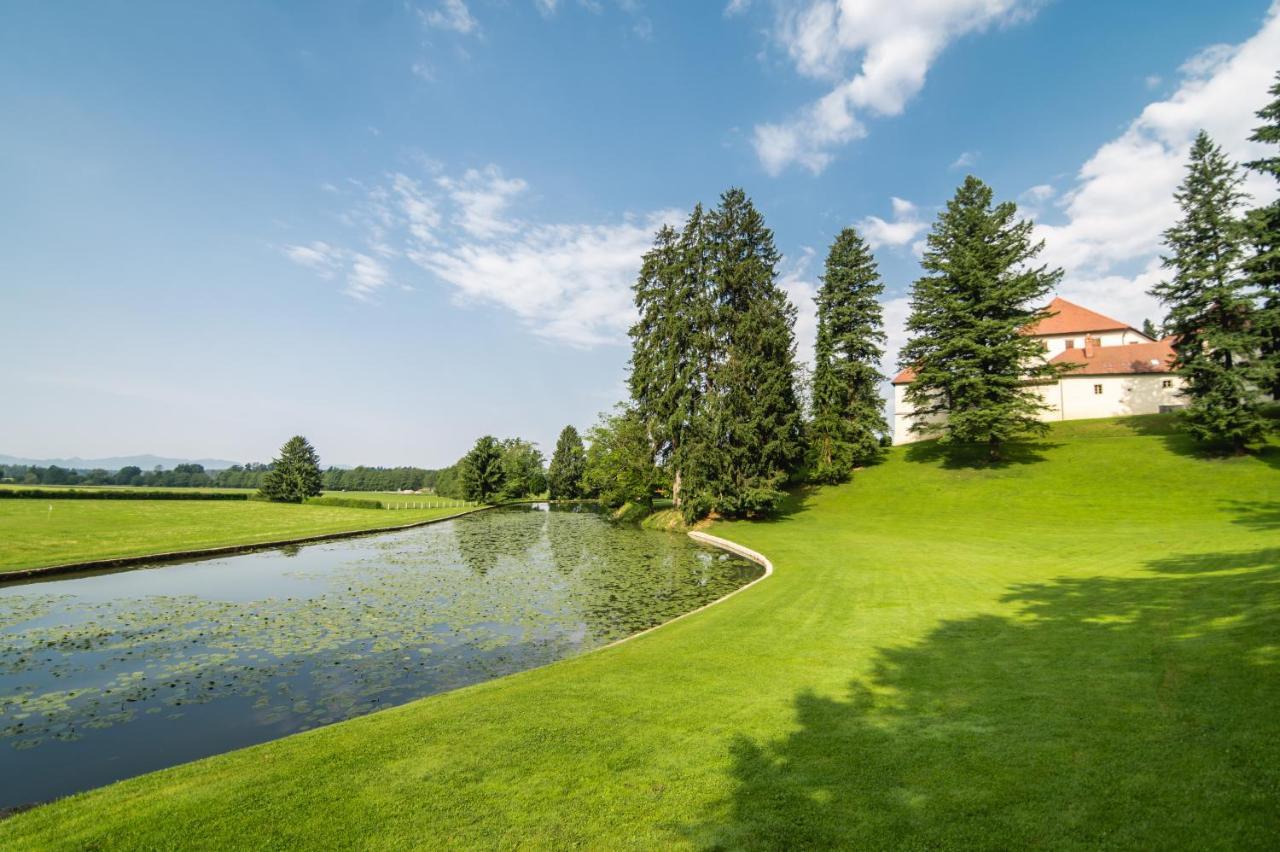 Grad Strmol Villa Cerklje na Gorenjskem Bagian luar foto