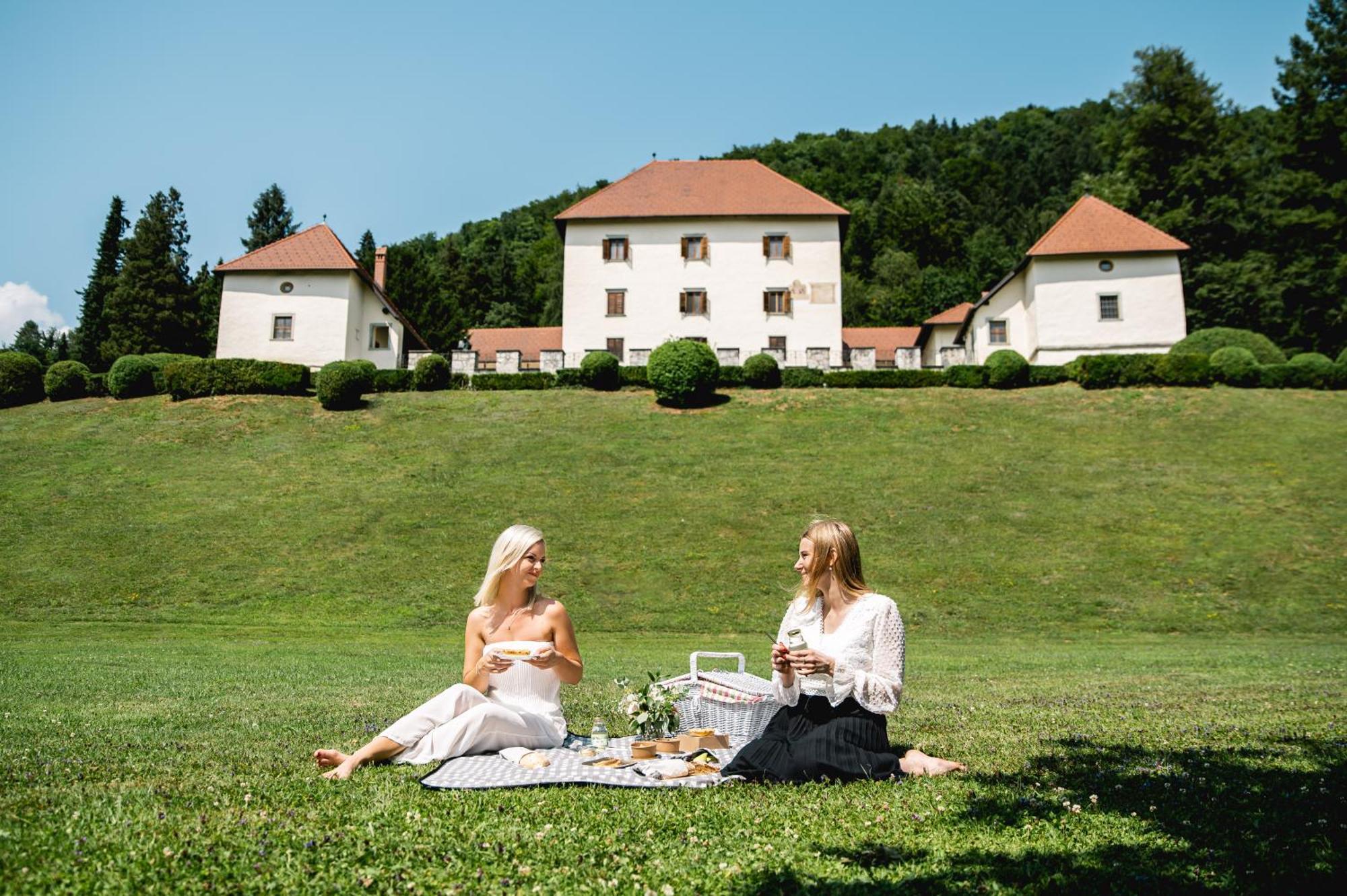 Grad Strmol Villa Cerklje na Gorenjskem Bagian luar foto