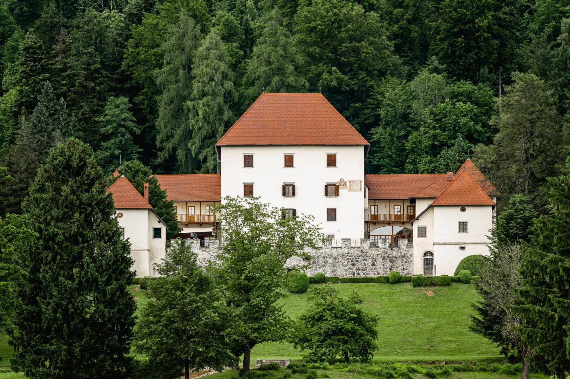 Grad Strmol Villa Cerklje na Gorenjskem Bagian luar foto